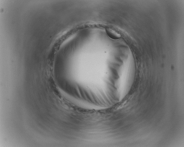 X0000071341207200607141922