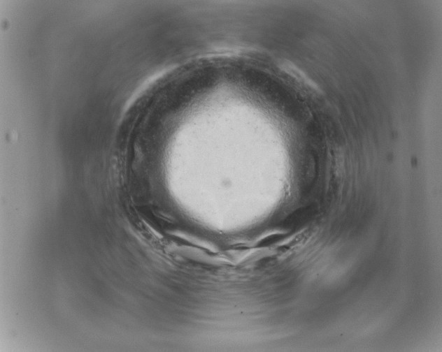 X0000071341208200607141922