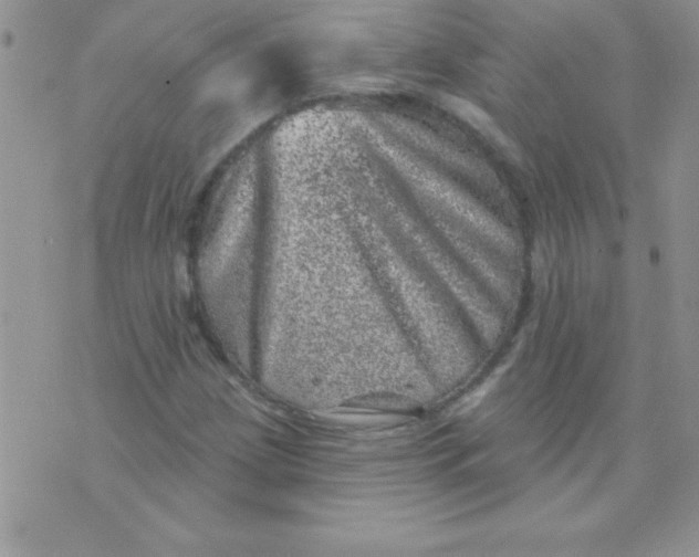 X0000071341209200607141922