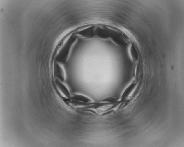 X0000071341238200607141922