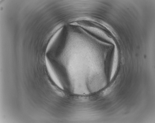 X0000071341241200607141922