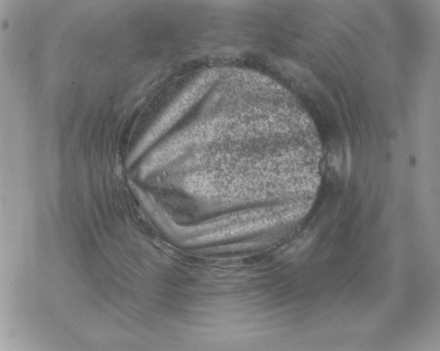 X0000071341252200607141922