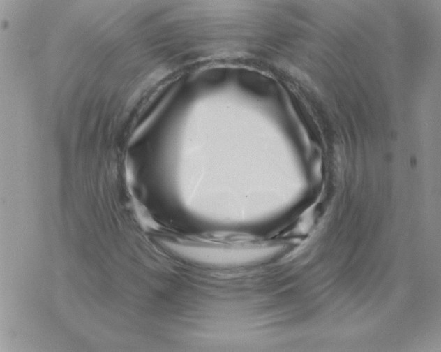 X0000071341257200607141922
