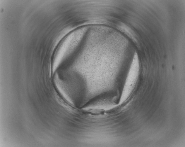 X0000071341276200607141921