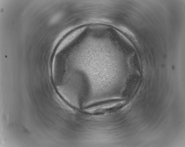 X0000071341280200607141921