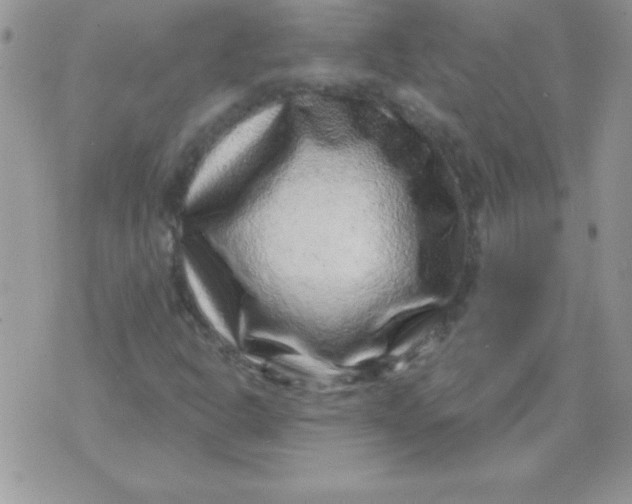 X0000071341302200607141920