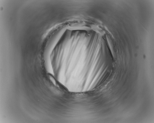 X0000071341304200607141920