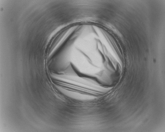 X0000071341316200607141920