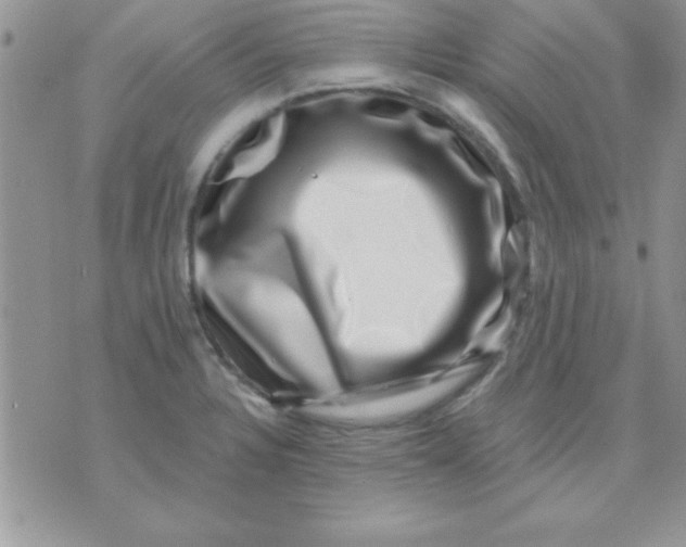 X0000071341328200607141921