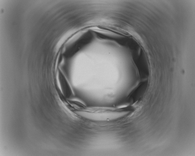 X0000071341344200607141921