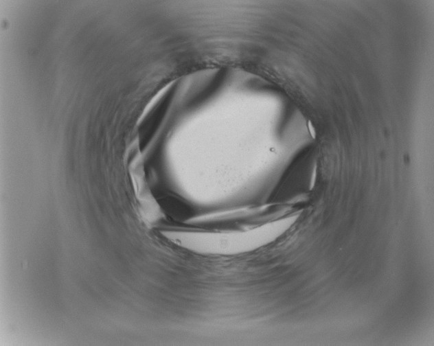 X0000071341345200607141920