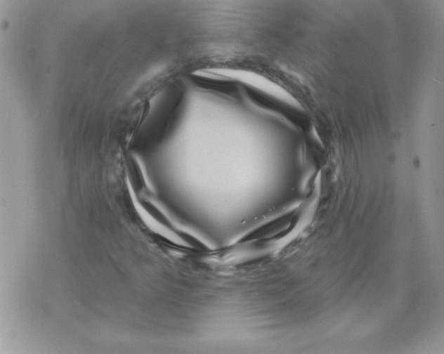 X0000071341349200607141920
