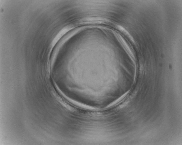 X0000071341370200607141920