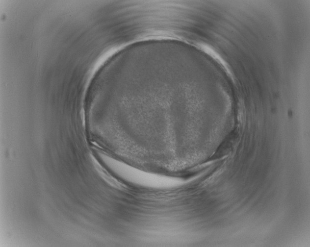 X0000071341372200607141920