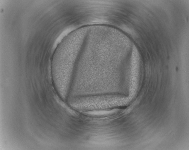 X0000071341374200607141920