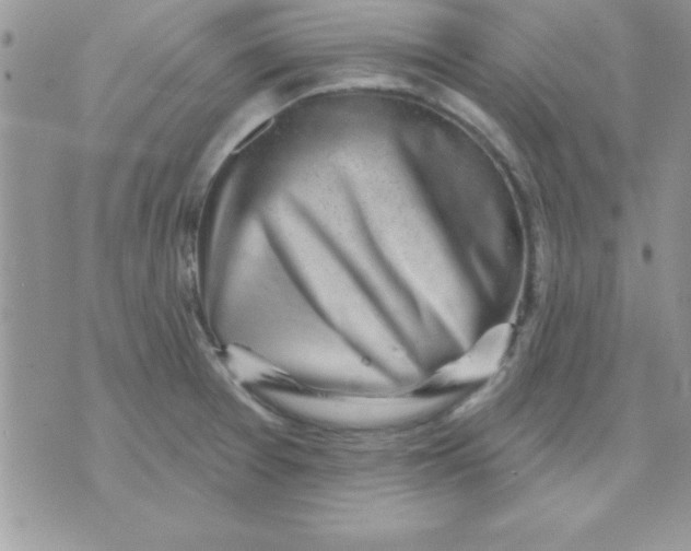 X0000071341377200607141920