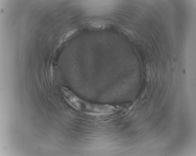 X0000071341394200607141919