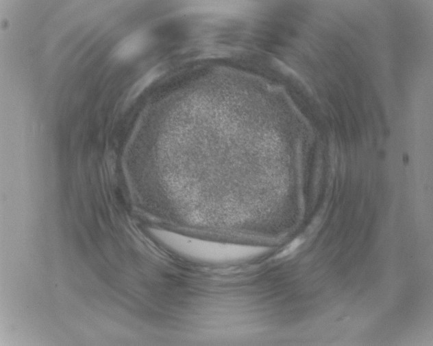 X0000071341401200607141919