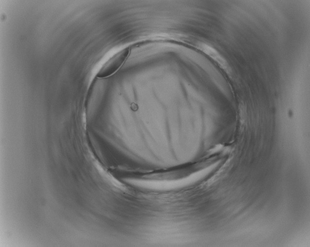 X0000071341428200607141919
