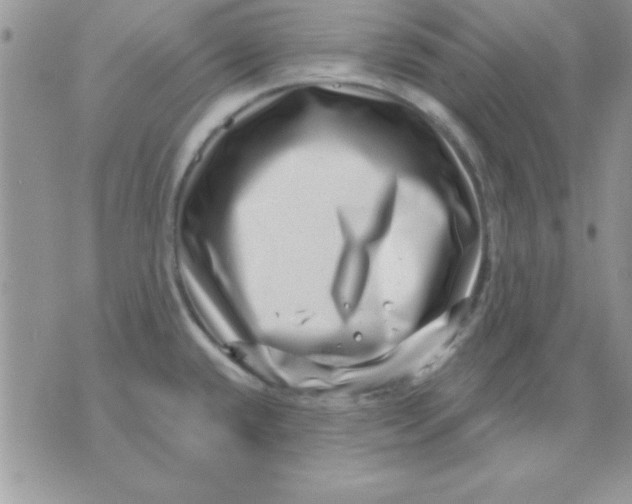 X0000071341432200607141919
