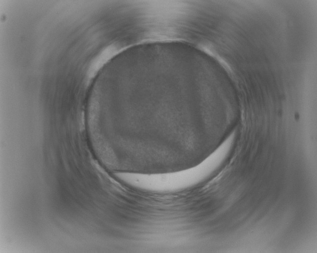 X0000071341459200607141918