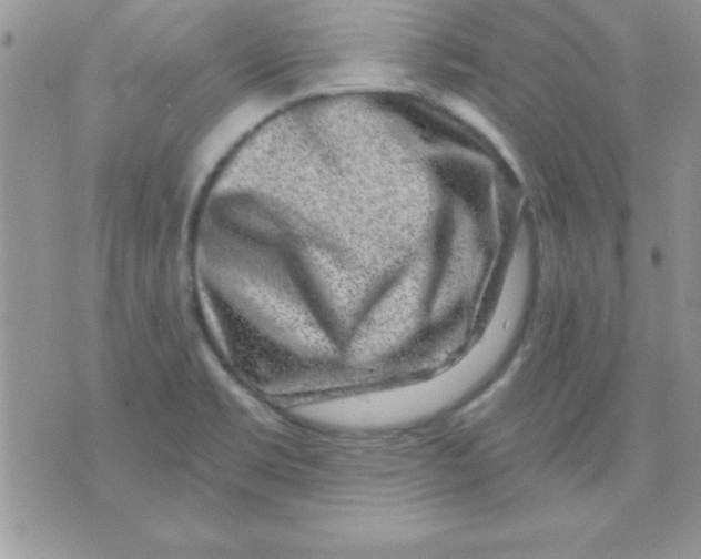 X0000071341469200607141918