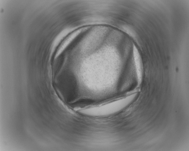 X0000071341472200607141918
