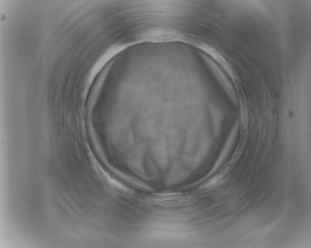 X0000071341486200607141918