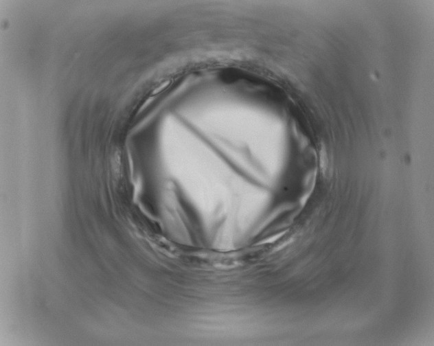 X0000071341492200607141917