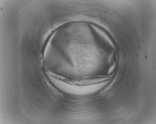 X0000071341509200607141917