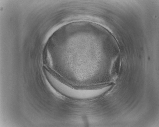 X0000071341523200607141918