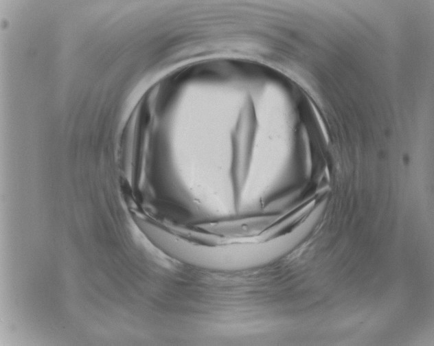 X0000071341532200607141918