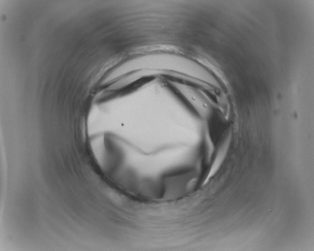 X0000071340013200607212043