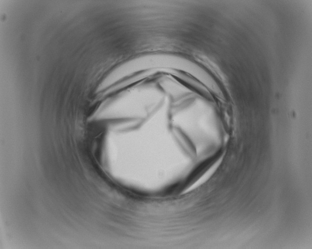 X0000071340017200607212043