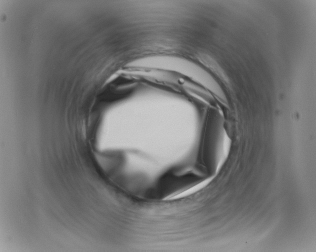 X0000071340021200607212043
