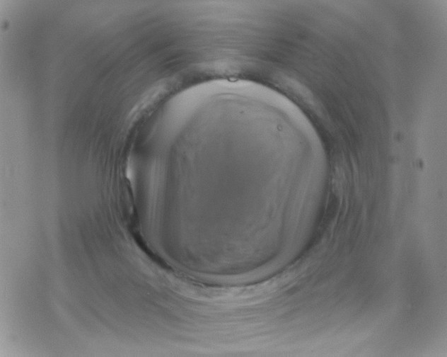 X0000071340023200607212043