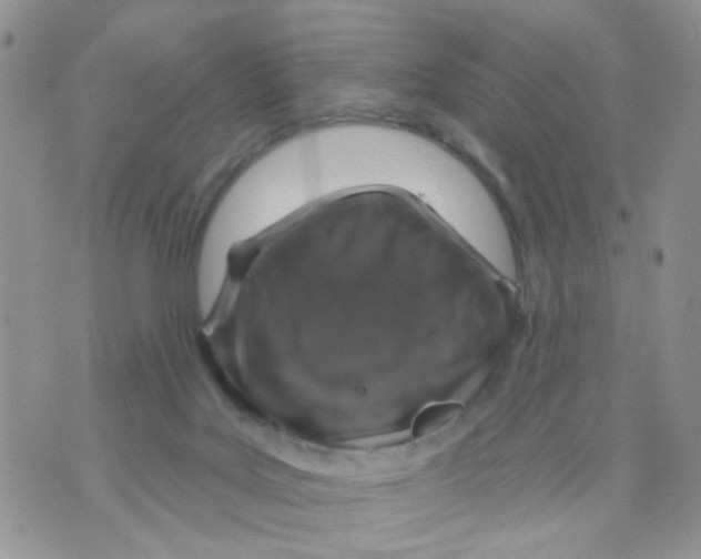X0000071340027200607212043