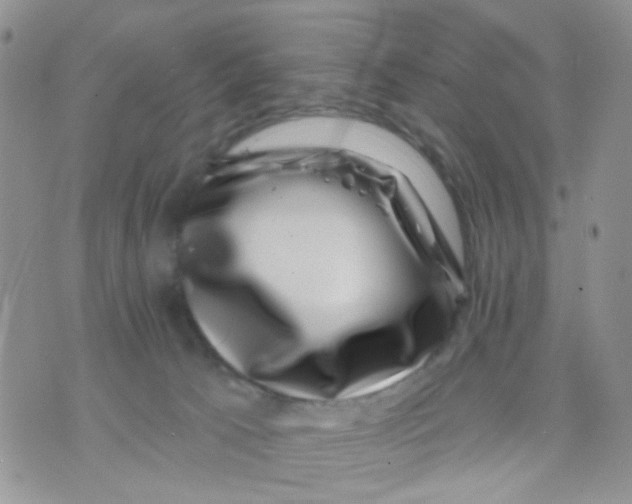 X0000071340033200607212043