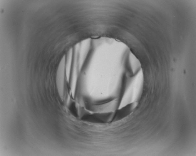 X0000071340037200607212043