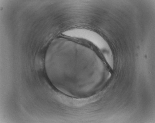 X0000071340039200607212043