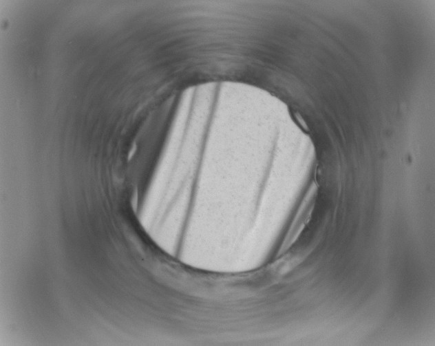 X0000071340040200607212043