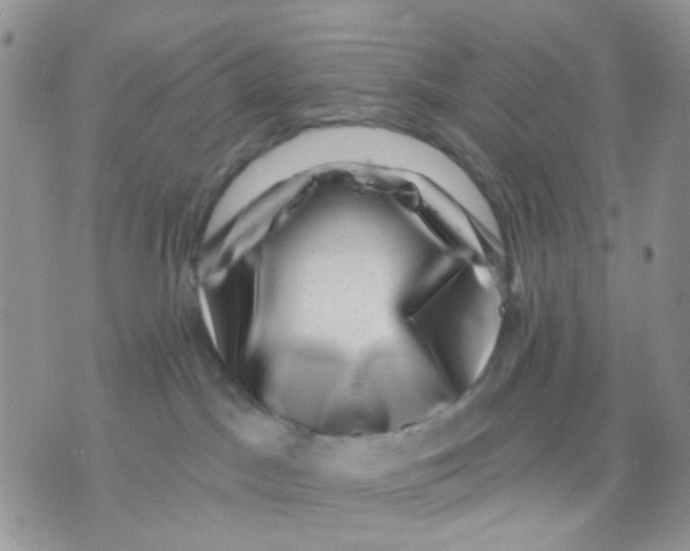 X0000071340045200607212043