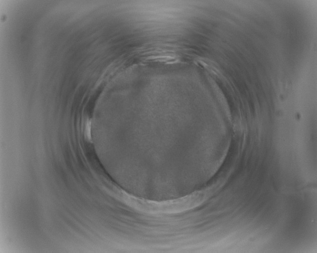 X0000071340046200607212043