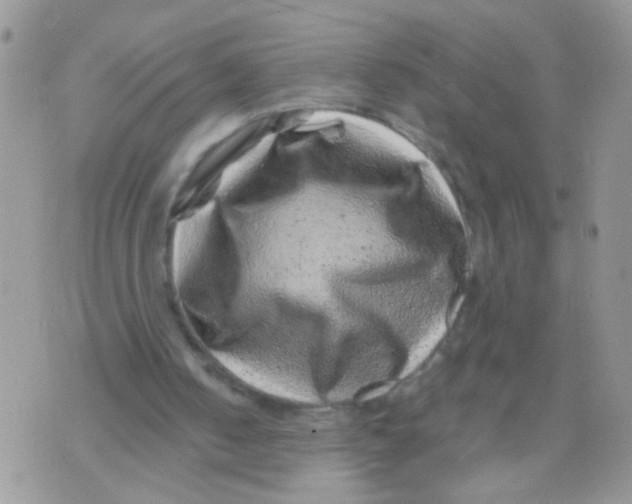X0000071340050200607212042