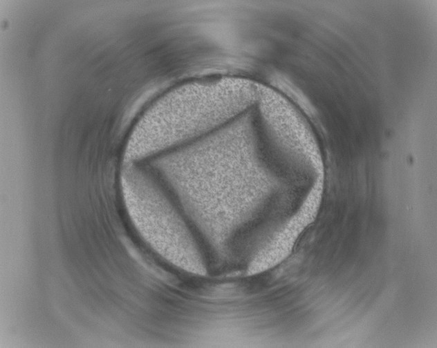 X0000071340058200607212042