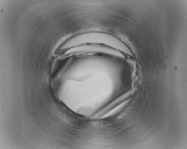 X0000071340060200607212042