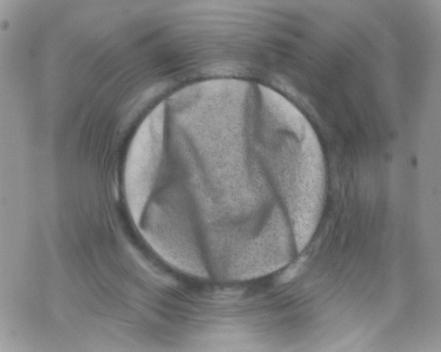X0000071340062200607212042