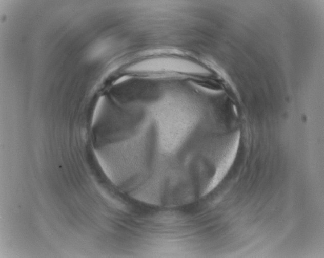 X0000071340063200607212042