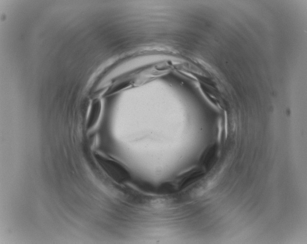 X0000071340064200607212042