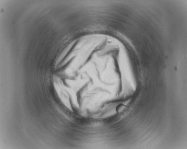 X0000071340065200607212042